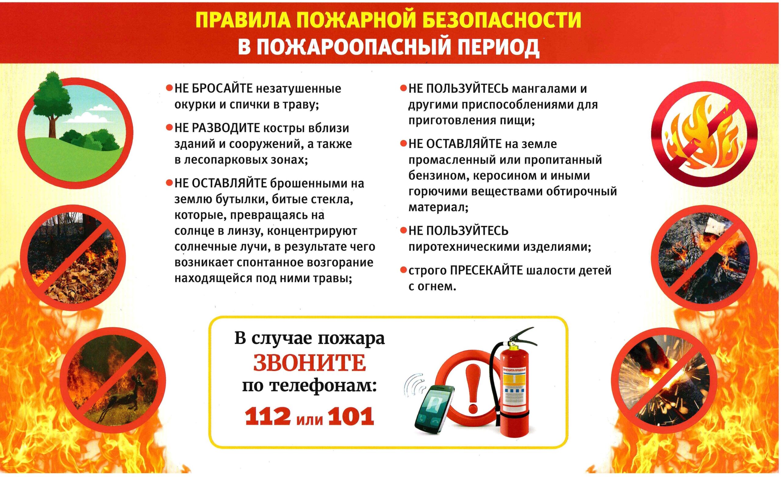 Береги лес от пожара