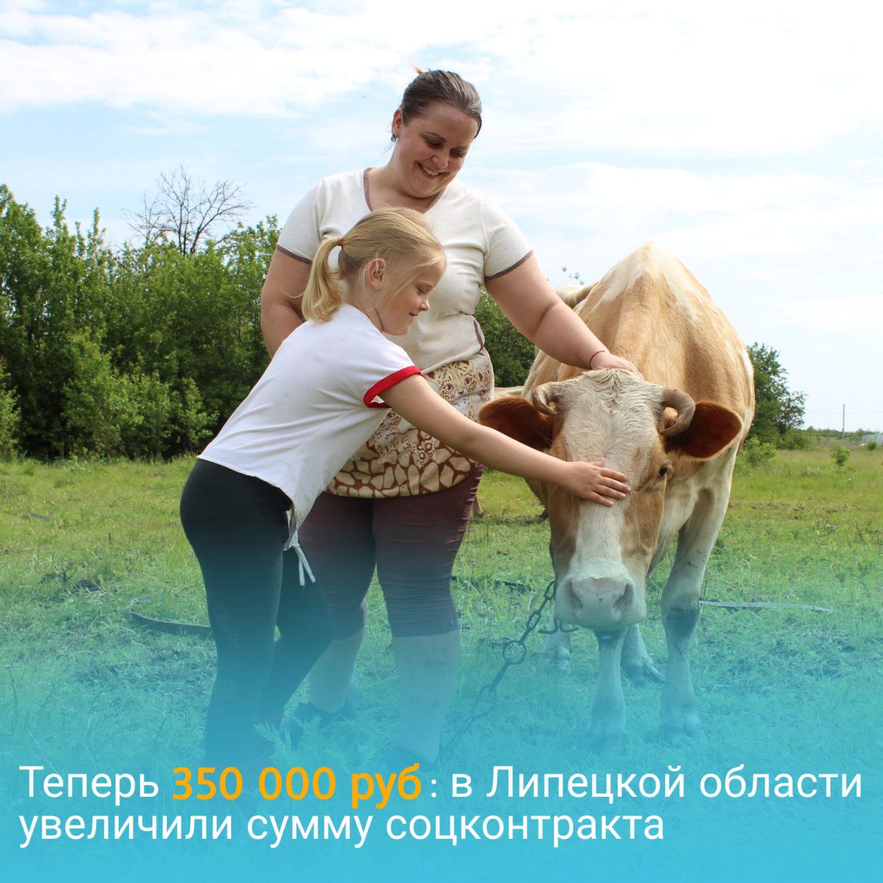 Социальный контракт